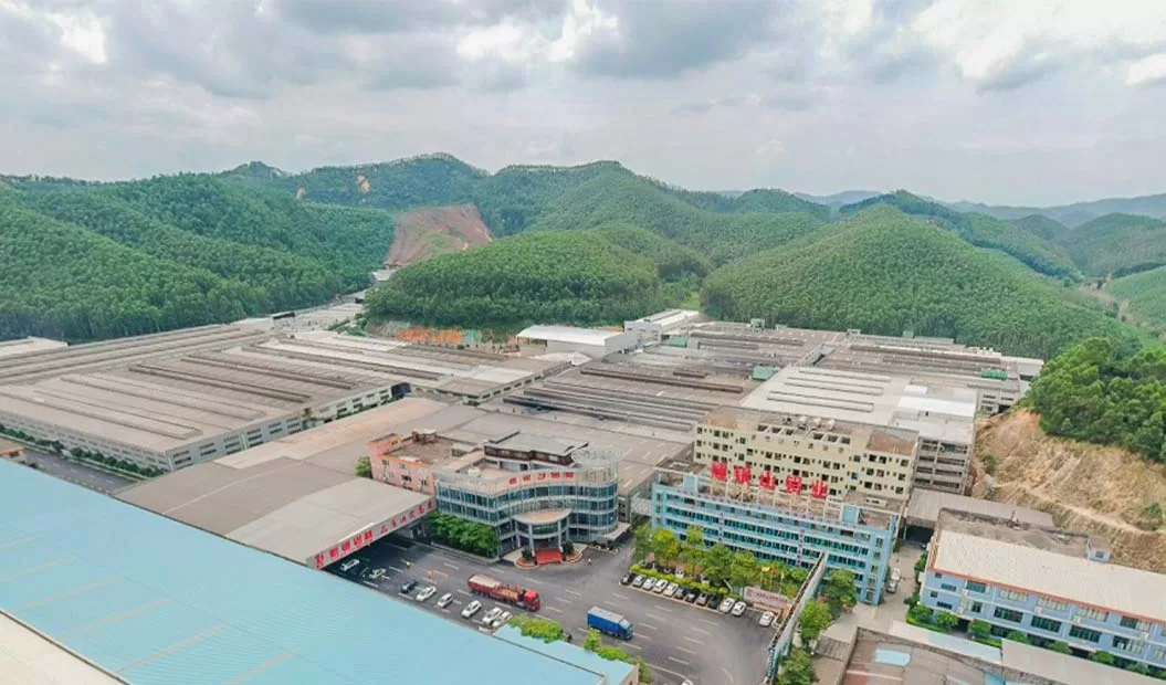 Company Profile